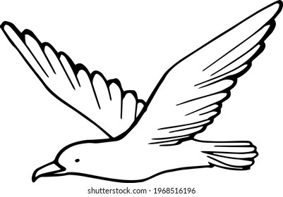 Single element of flying seagull bird in doodle summer set. Hand drawn vector illustration for greeting cards, posters, stickers and seasonal design.