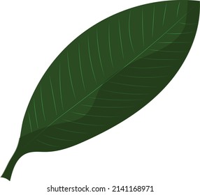 A single element is a green leaf of a plant or flower. Vector.