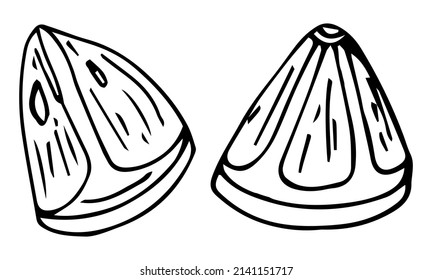 Single element hand drawn lemon slice icon. Vector illustration of doodles for cafes and restaurants, cute postcards and culinary design.