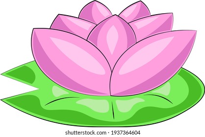 Single element Lotos. Draw illustration in color