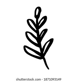 Single element. Plant or flower leaf. Twig with leaves. Hand drawn. Doodle, sketch, icon. Vector illustration for greeting cards, prints, banners and seasonal designs. On a white background.
