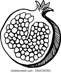Single element of pomegranate fruit slice in doodle summer set. Hand drawn vector illustration for greeting cards, posters, stickers and seasonal design.