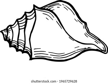 Single element of seashell in doodle summer set. Hand drawn vector illustration for greeting cards, posters, stickers and seasonal design.