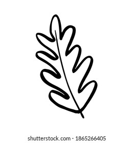 Single element. Tree leaf, oak leaf. Hand drawn. Doodle, sketch, icon. Vector illustration for greeting cards, prints, banners and seasonal designs. On a white background.