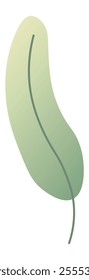 Single, elongated green leaf featuring a subtle gradient and a prominent central vein, representing natural growth and the elegance of organic forms in a serene, minimalist style