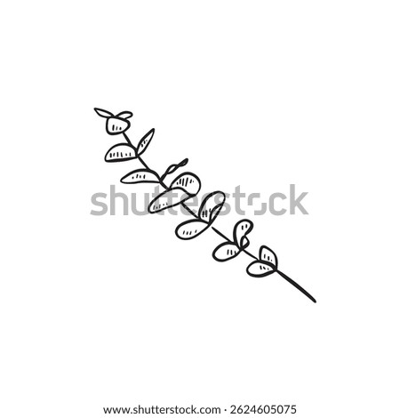 A single eucalyptus sprig hand drawn in black sketch. 