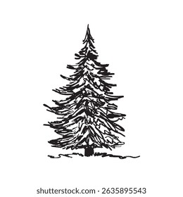 A single evergreen tree, pine or spruce in black brush stroke texture isolated on white. Hand drawn vector sketch illustration in vintage charcoal ink. Landscape element, summer concept