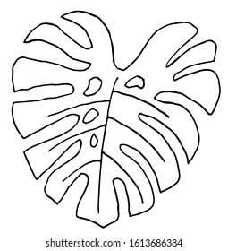 A single exotic tropical leaf is isolated. Monstera leaf line art. Doodle style. Minimalism. Modern decor. Vector.