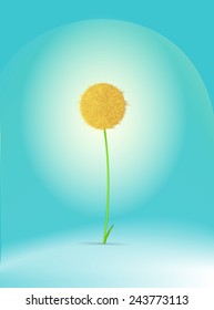 single fairy orange round dandelion on the soft blue background