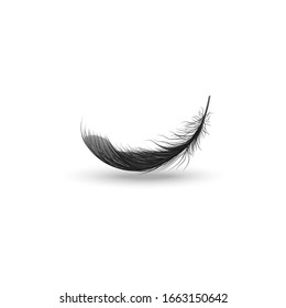 Single falling or hovering curved fluffy black feather realistic style, vector illustration isolated on white background. One dark soft bird feather floating above surface and its shadow