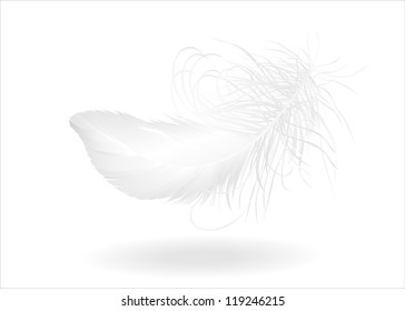 single feather on white. Vector illustration in flat style