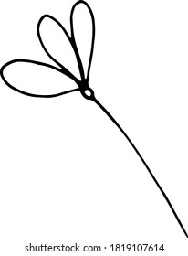 Single floral element hand drawn in vector. Simple doodle illustration for print, greeting card, stickers, wedding design, packaging, natural cosmetic line or poster. Natural icon isolated on white
