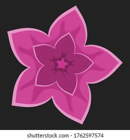 Una sola flor. ¡Grande, audaz y brillante! 
5 flor puntiaguda. Ilustración vectorial.