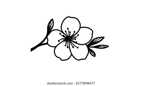 Single flower blossom branch. Leaves petals detailed. Floral design wedding invitations. Minimalist line art vector illustration