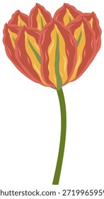 Ilustración vectorial botánica de una sola flor