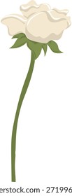 Ilustração de vetor botânico de flor única