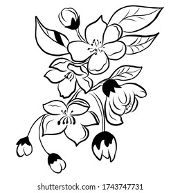 Single flower branch elements hand drawn vector illustration in doodle style for wedding design, logo and greeting card.