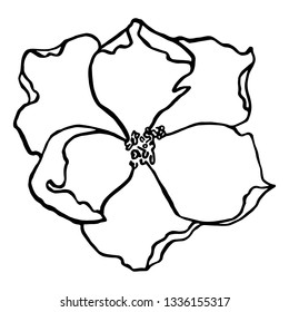Single flower contour hand drawn petal blossom botany