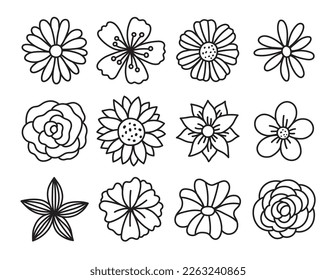 Single flower doodles drawing vector illustration  Spring flower outline set including rose  sunflower daisy  hibiscus  peony  camellia  morning glory  etc 