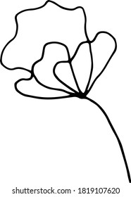 Single flower element hand drawn in vector. Elegant doodle illustration for print, greeting card, stickers, wedding design, packaging, natural cosmetic line or poster. Natural icon isolated on white