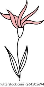 A single flower with elongated petals and two leaves in a clean line art style. The delicate bloom is depicted with smooth curves and minimal details. Cartoon vector illustration.