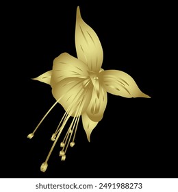 Single flower of fuchsia plant. Golden glossy silhouette on black background.