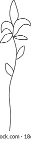 Einzelblume, handgezeichnet, botanische Illustration der feinen Linie, Design-Element der Blumen, Vektorkonturzeichnung