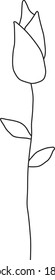 Single Flower Hand Drawn, Fine Line Botanical Illustration, Floral Art Design Element, Vector contour drawing