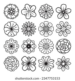 Single flower hand drawn vector