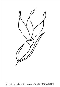 Single flower, hand-drawn. Botanical illustration. Vector design 