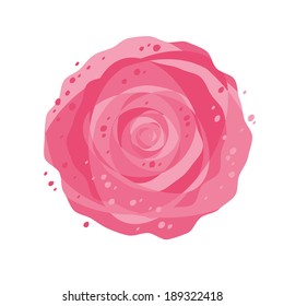 Single flower isolated on white background.