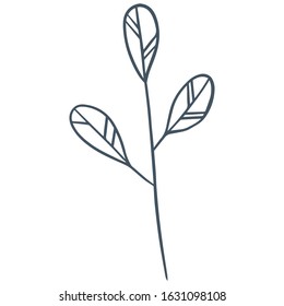 single flower, leaf, plant, twig. Vector. doodle. Isolated on a white background. for design, cards, invitation