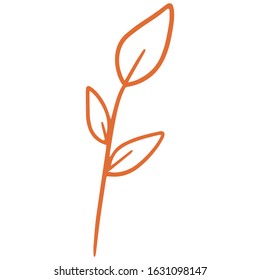 single flower, leaf, plant, twig. Vector. doodle. Isolated on a white background. for design, cards, invitation