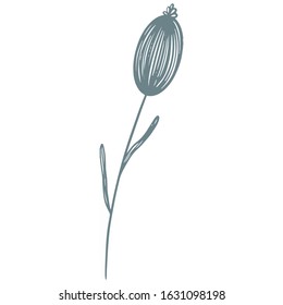 single flower, leaf, plant, twig. Vector. doodle. Isolated on a white background. for design, cards, invitation