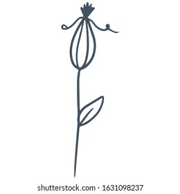 single flower, leaf, plant, twig. Vector. doodle. Isolated on a white background. for design, cards, invitation