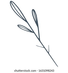 single flower, leaf, plant, twig. Vector. doodle. Isolated on a white background. for design, cards, invitation