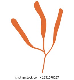 single flower, leaf, plant, twig. Vector. doodle. Isolated on a white background. for design, cards, invitation
