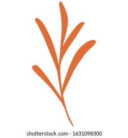 single flower, leaf, plant, twig. Vector. doodle. Isolated on a white background. for design, cards, invitation