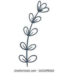 single flower, leaf, plant, twig. Vector. doodle. Isolated on a white background. for design, cards, invitation