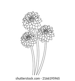 single flower line drawing coloring page for kids activities of educational element