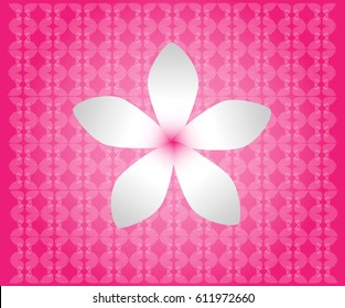 single flower on the pink background