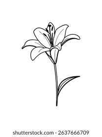 single flower on white background.