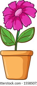 Single flower in pink color illustration