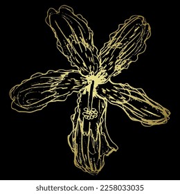 Flor única de árbol de flor de seda. Flor de Ceiba speciosa o árbol de Chorisia speciosa. Esbozo en bruto de doodle lineal dibujado a mano. Silueta dorada sobre fondo negro.