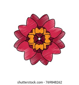 single flower topview con image 