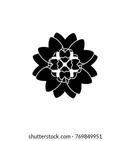single flower topview con image 