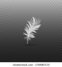 Single fluffy white feather falling or hovering upright realistic style, vector illustration isolated on black transparent background. One light soft bird feather standing or floating vertically