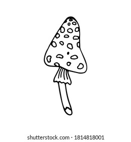 Single fly agaric, amanita icon . Hand drawn vector illustration in doodle style outline drawing isolated on white background.