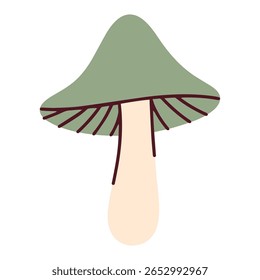 Single forest mushroom with a large green cap and long stem. Hand-drawn style illustration of woodland fungi on white background