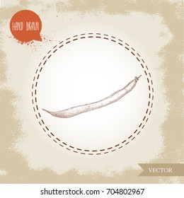 Single french green beans pod. Sketch hand drawn vector illustration isolated on old looking background. Healthy organic food.